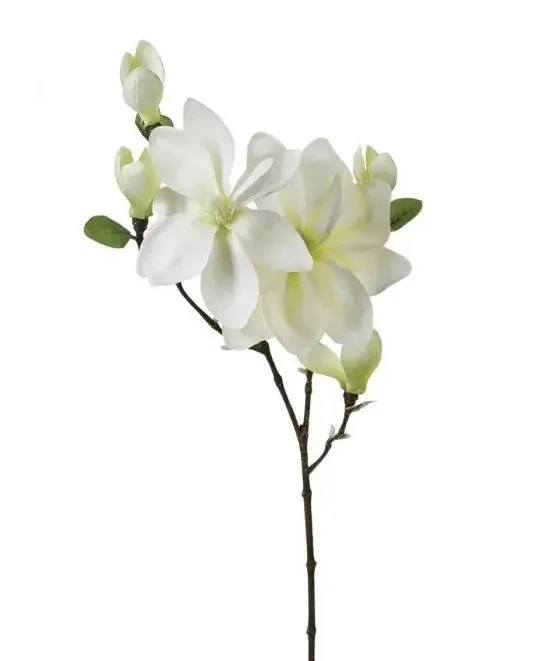 ATMOSPHERA Magnolia Stem 25x79 cm